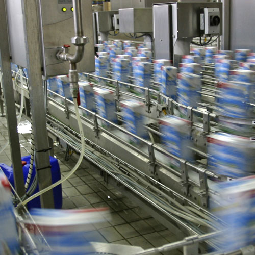 mesh food processing